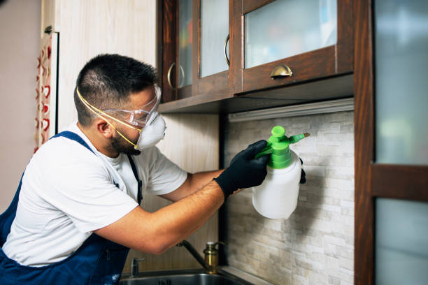 Best Best Pest Control Companies  in Reno, NV