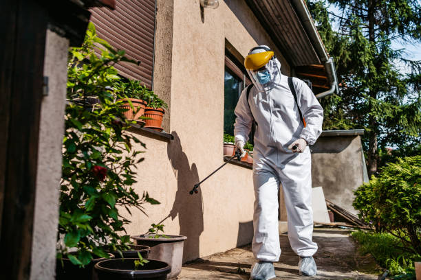 Best Residential Pest Control  in Reno, NV